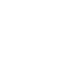 The 411 House